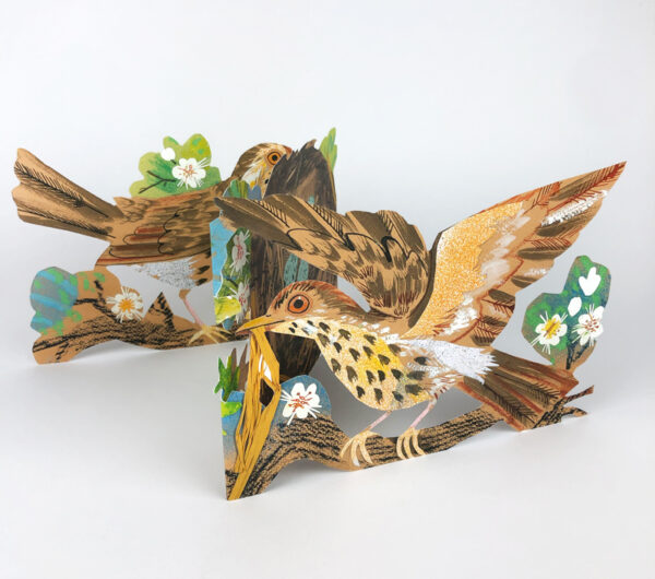 Nest Die-Cut Card - Image 4