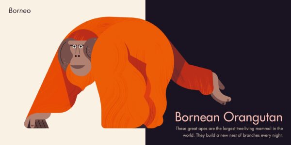 My First Pop-Up Endangered Animals - Image 3