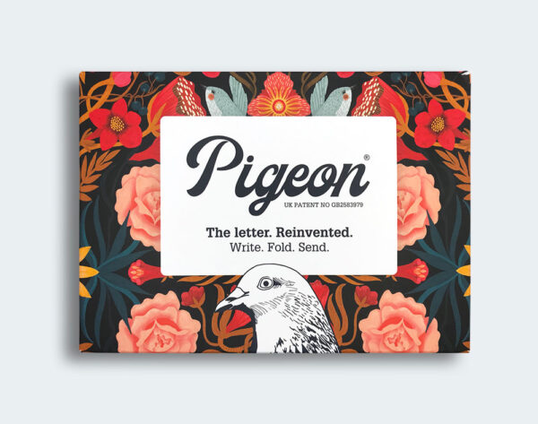 Bright and Beautiful Pigeons