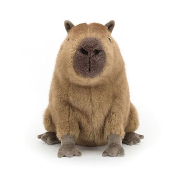 Jellycat Clyde Capybara - Image 2