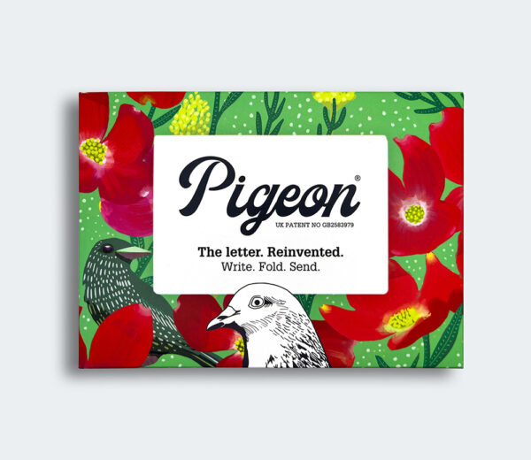 Dusk to Dawn Pigeons