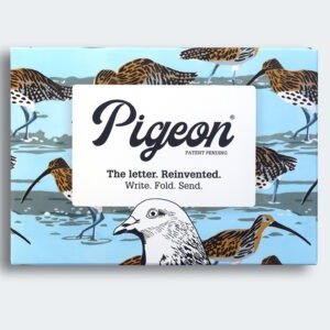 Hebridean Pigeons