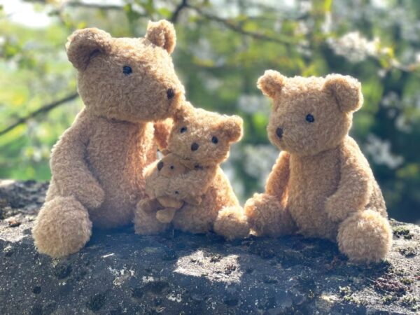 Eustache the Bear - Image 2