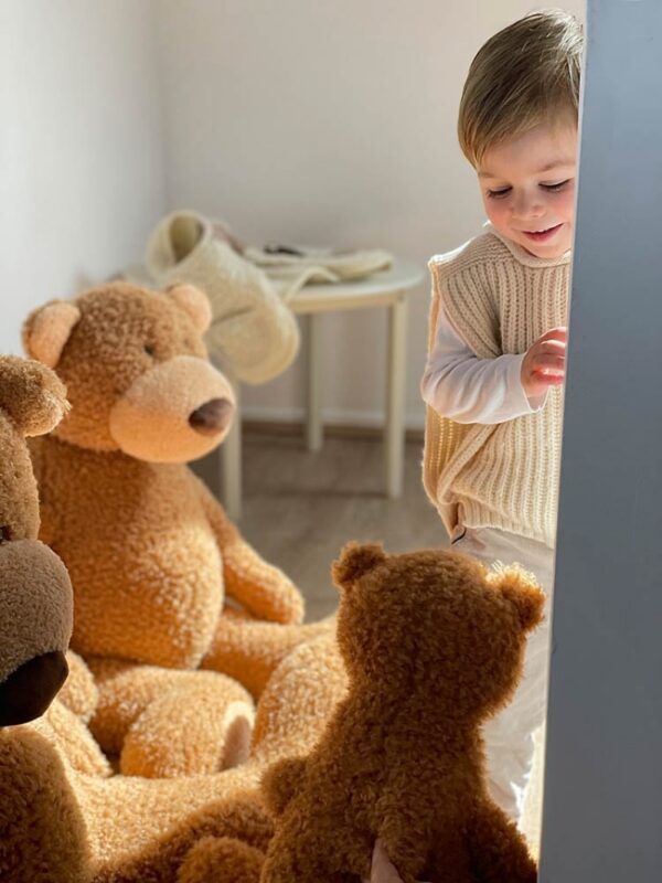 Anatole the Bear (small) - Image 2