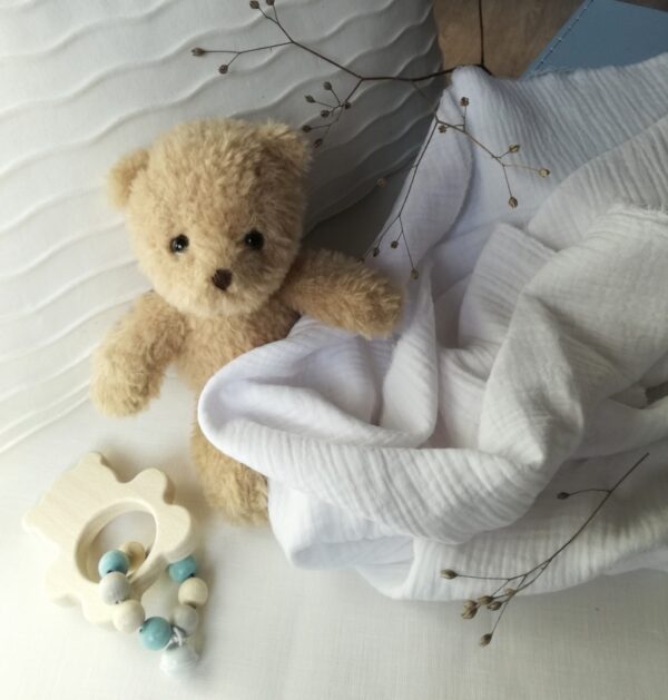 Morris the Bear - Image 2