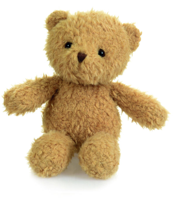 Morris the Bear