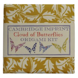Cloud of Butterflies Origami Kit