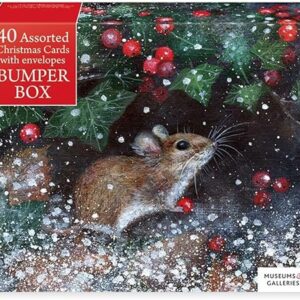 Bumper Box - 40 Assorted Christmas Cards